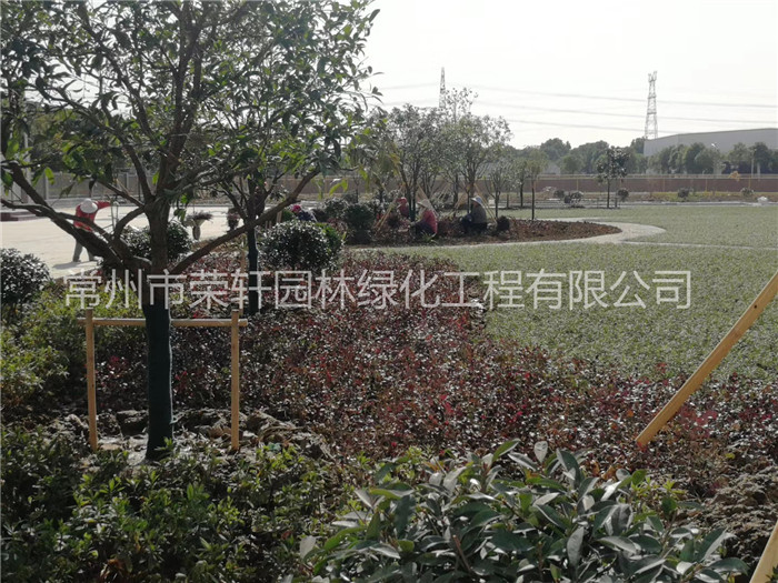 常州西瑪特電器養護